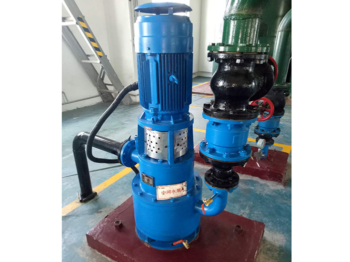 國(guó)電蘭州范坪電廠專利結(jié)構(gòu)無(wú)泄漏自吸泵